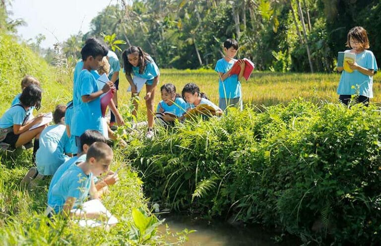 Pelangi School, Bali | Education Horizons